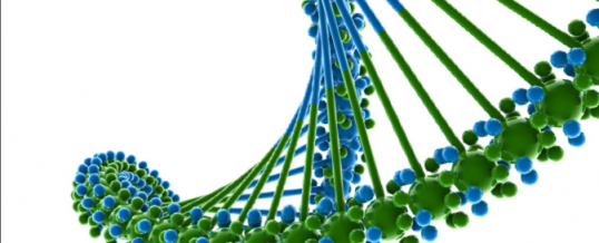 PUGATCH CONSILIUM LAUNCHES NEW REPORT ON BUILDING THE BIOECONOMY